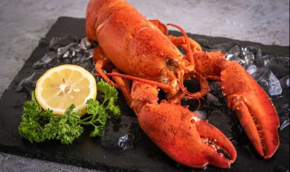 大龙虾头粥怎么做（龙虾头粥的做法）