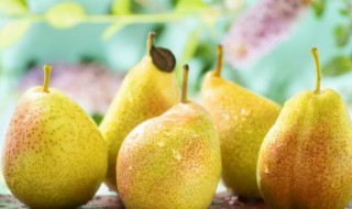 梨皮有什么作用和功效呢（梨皮有什么作用和功效呢百度百科）