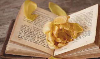 支路的意思 干路支路是什么意思