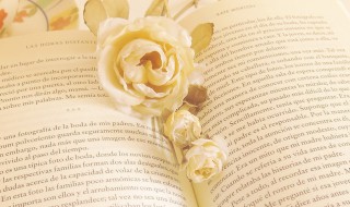 吃苦在先享受在后的意思（吃苦在先享受在后的意思和造句）