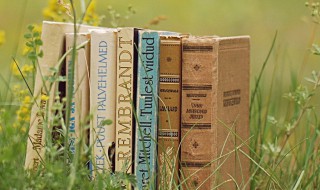 湖广熟天下足的意思 湖广熟天下足的由来