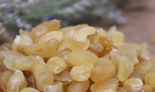 雪莲子功效(雪莲子功效和作用及食用方法)