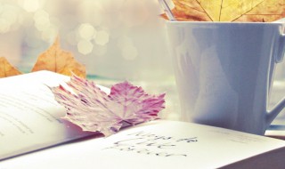 天上地下惟我独尊的意思 天上地下惟我独尊的解释