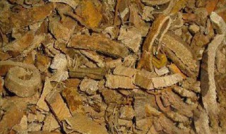 蜜桑白皮的功效与作用 蜜桑白皮的功效与作用图片