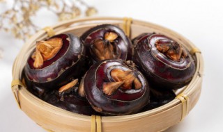 马蹄如何吃 马蹄如何吃好吃