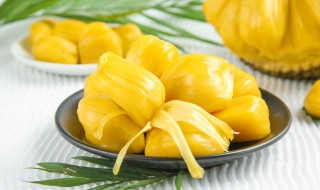 菠萝蜜怎么洗 菠萝蜜怎么洗才干净