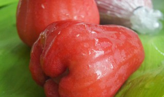 水果莲雾是什么味道 一种口感很像莲雾的水果