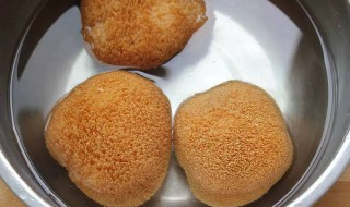 猴头菇怎么洗 猴头菇怎么洗不苦