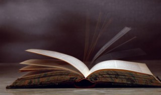 心中有数的意思（瞎子吃馄饨心中有数的意思）