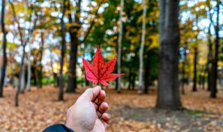 秋天早上好短句 秋天早上好短句子