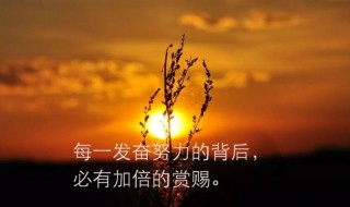 每一天努力坚持的句子 每一天努力坚持的句子英文