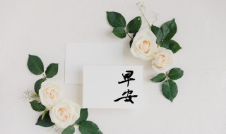 早上简单问候语10字 早上简短问候语10字