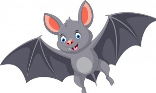 蝙蝠入屋是不吉利的为什么（蝙蝠入屋是否还是不吉利）