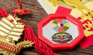 蜥蜴风水代表什么（蜥蜴的风水）