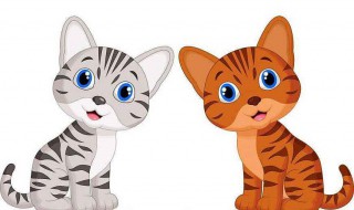 束家的猫寓言故事告诉我们什么道理 束家的猫这则寓言告诉我们什么道理