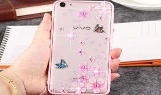 步步高x7的应用权限管理在哪（步步高怎么打开应用权限）