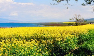 电脑屏保进不了桌面 电脑屏保进不了桌面怎么解决