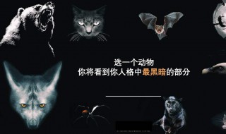 黑暗人格的人的特征（黑暗人格的人的特征有哪些）