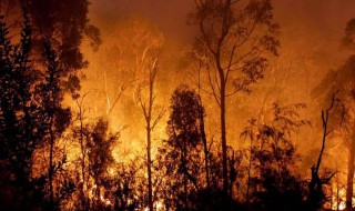 森林火灾发生的成因（森林火灾发生的成因是什么）