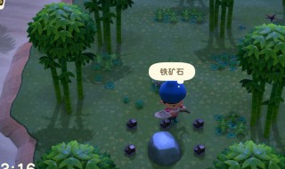 动物森友会哪里买大头菜（动物森友会卖大头菜的不见了）