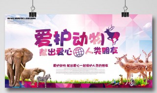 野生动物我们怎么保护它们（野生动物我们怎么保护它们的）