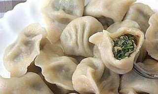 猪肉大葱饺子馅做法（猪肉大葱饺子馅做法视频）