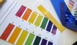 测酸碱度的试纸怎么用 酸碱度试纸怎么用