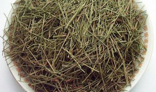 松针叶怎样快速腐烂 松针叶怎样快速腐烂掉