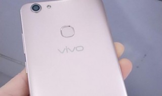 vivoy73手机陀螺仪设置 vivoy83陀螺仪设置