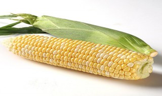 云南水果玉米成熟季节 云南水果玉米成熟季节图片