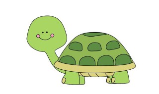 乌龟化石是怎么形成的（乌龟化石是怎么形成的作文100字）