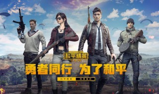 和平精英怎么看自己被限制 和平精英怎么看自己被限制了