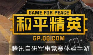 和平精英电脑和ios版通用吗