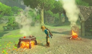 塞尔达传说荒野之息电脑能玩么 赛尔达传说荒野之息电脑能不能玩