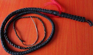 建身鞭初级打法(健身鞭法的基本打法)