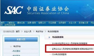 身份证信息如何查询（身份证信息如何查询系统）
