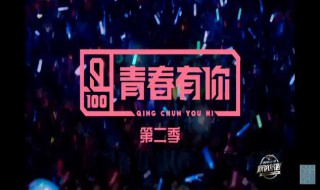 青春有你2怎么投票（青春有你2每人可以投几票）