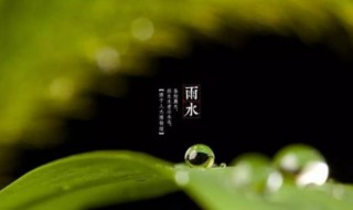雨水后怎么养生（雨水养生注意什么）