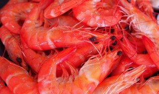 鲜虾怎么看坏没（虾怎么看坏没坏）