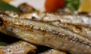 怎么烤贝鱼 如何烤贝类