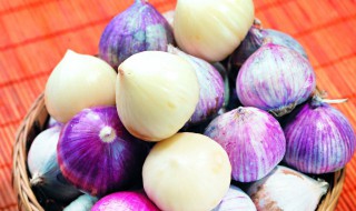 怎么培育独蒜 怎么培育独蒜种植