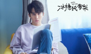 冰糖炖雪梨电视剧主演是 冰糖炖雪梨电视剧主演是谁