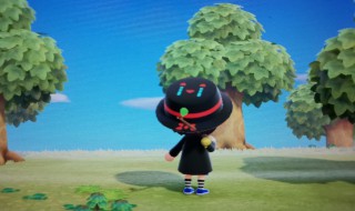 集合啦动物森友会可以玩多久（集合了动物森友会攻略）