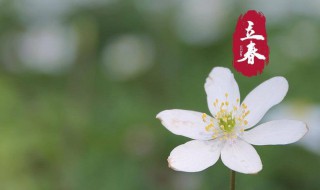 2020年打春应注意什么(打春有什么禁忌和说法2020)