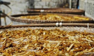 晒好的菜干怎么保存 干菜怎么晾晒