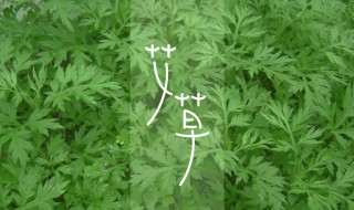 房间熏艾叶的注意事项 房间熏艾叶的注意事项有哪些