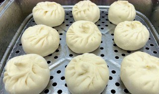鲜包子怎么保存 鲜包子怎么保存比较好