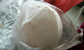 扒皮椰子怎么保存 去皮椰子怎么保存