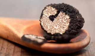 松露应该怎么保存（松露怎么保存?）