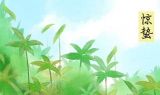 惊蛰应该注意啥 惊蛰应该注意什么